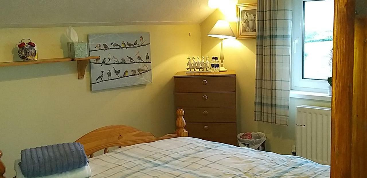 Antrim Heights Bnb Luaran gambar