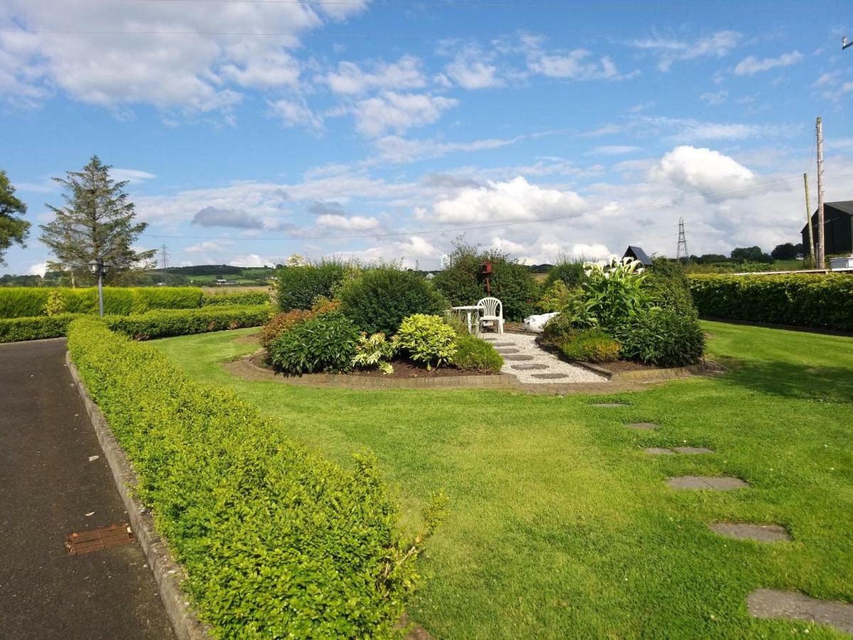 Antrim Heights Bnb Luaran gambar