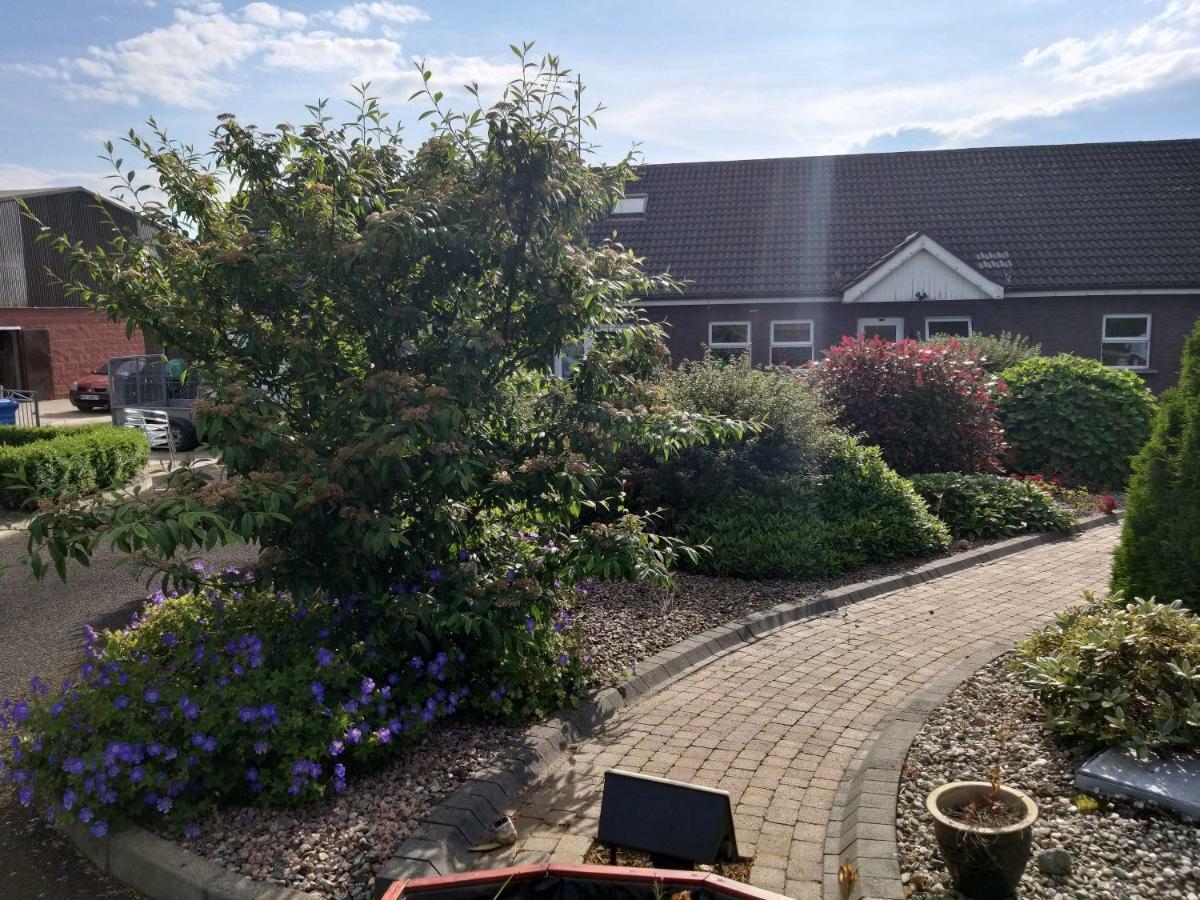 Antrim Heights Bnb Luaran gambar